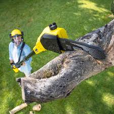 Best Tree Removal  in Fairlawn, VA