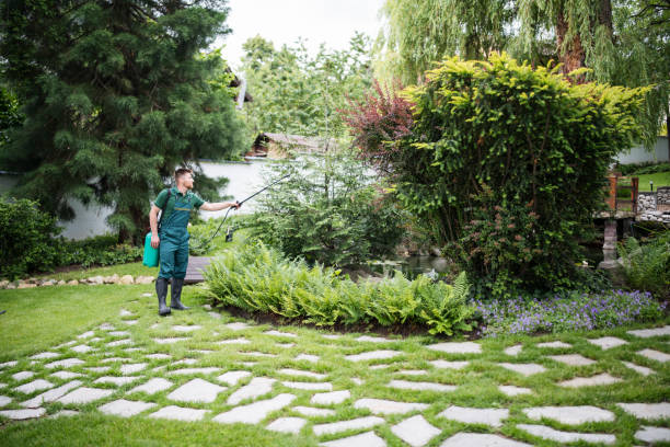 Lawn Renovation and Restoration in Fairlawn, VA
